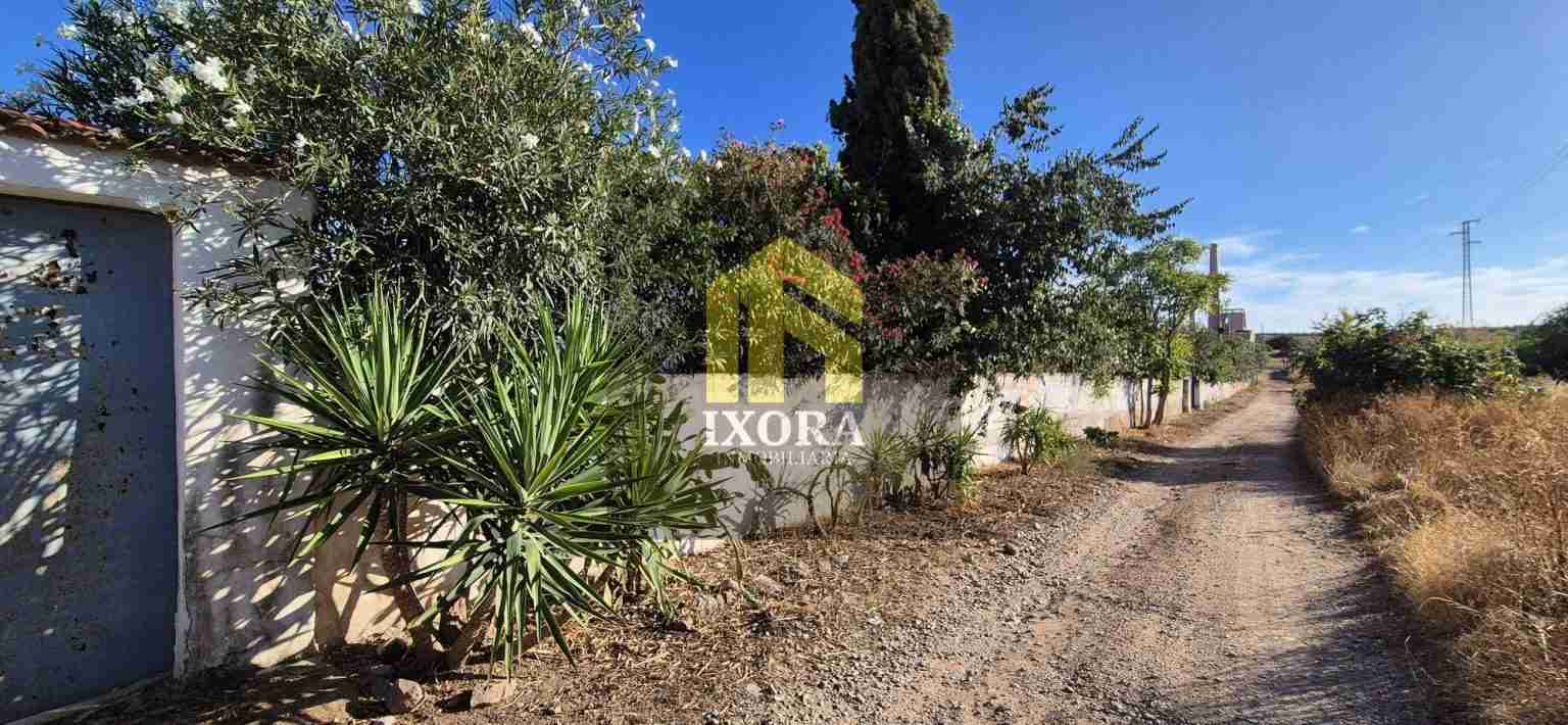 Gran Parcela Rústica con 100 Olivas y Casa a Reformar 88 IMG-20240930-WA0004