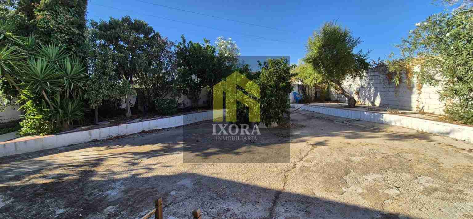 Gran Parcela Rústica con 100 Olivas y Casa a Reformar 76 IMG-20240930-WA0006