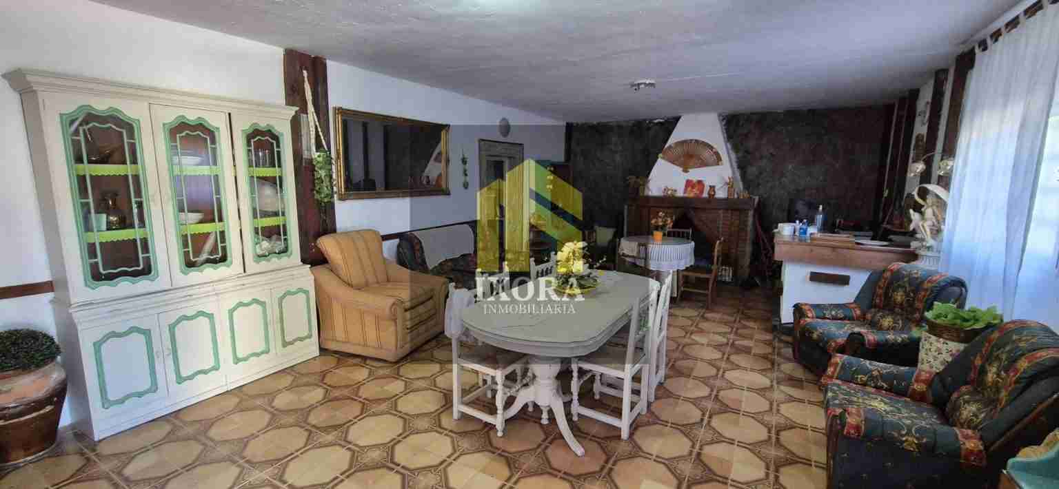 Gran Parcela Rústica con 100 Olivas y Casa a Reformar 77 IMG-20240930-WA0010