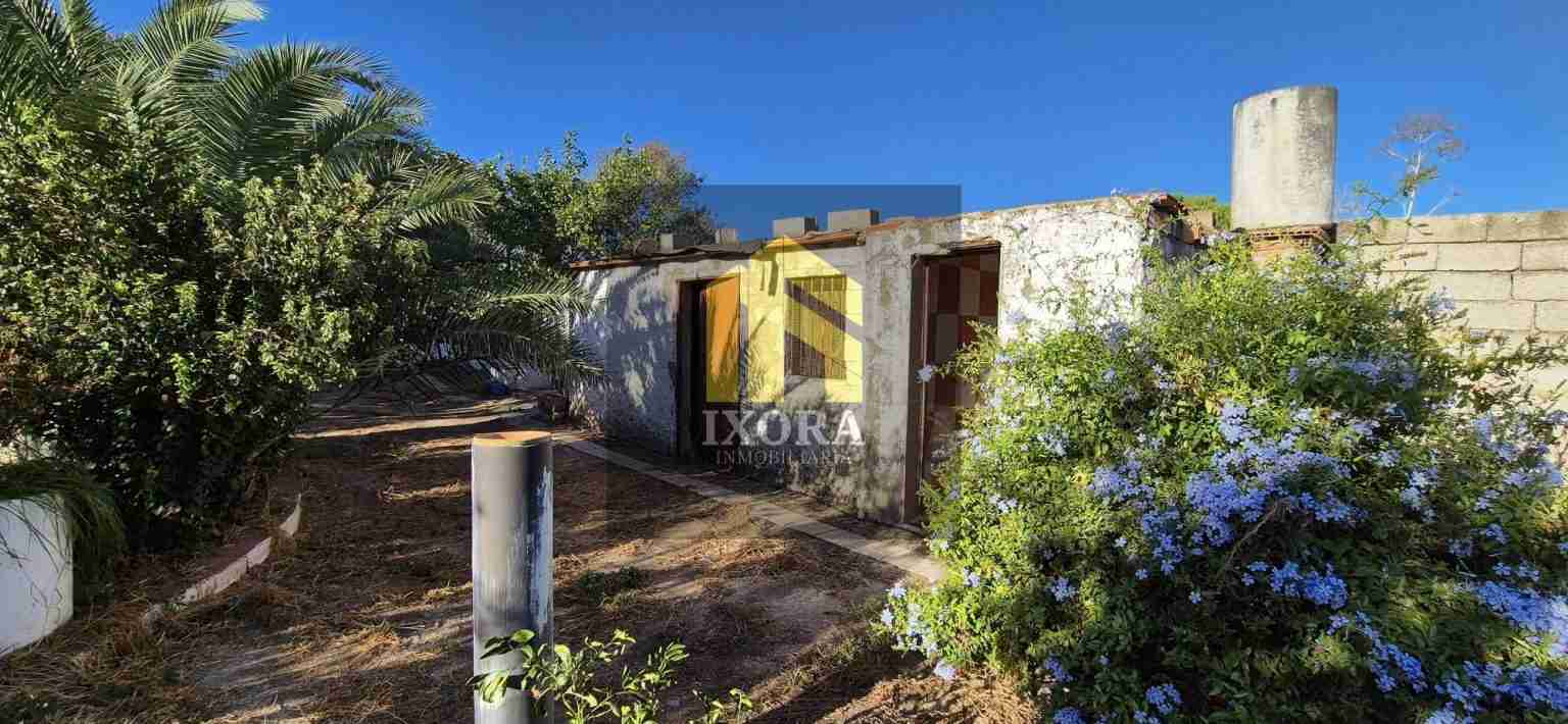 Gran Parcela Rústica con 100 Olivas y Casa a Reformar 87 IMG-20240930-WA0025