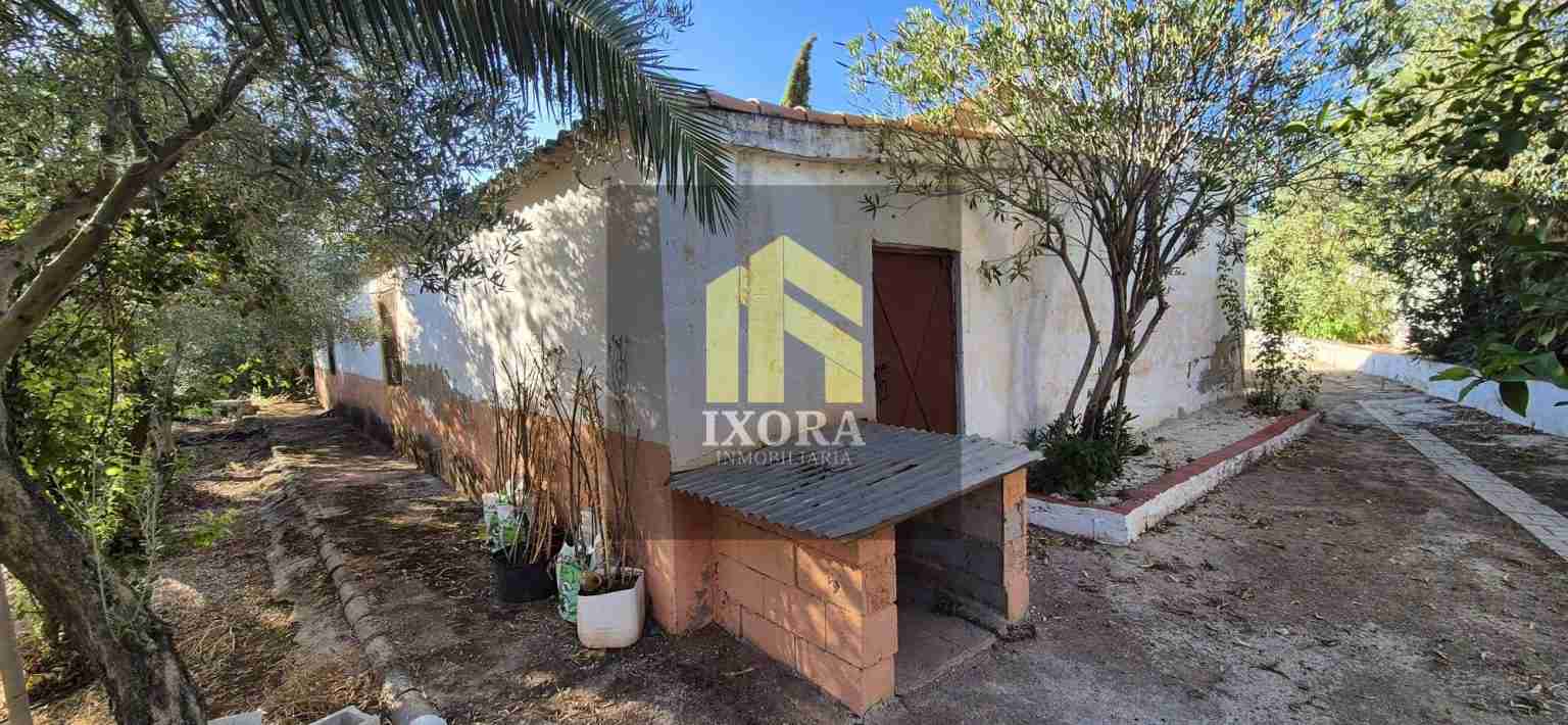 Gran Parcela Rústica con 100 Olivas y Casa a Reformar 85 IMG-20240930-WA0026