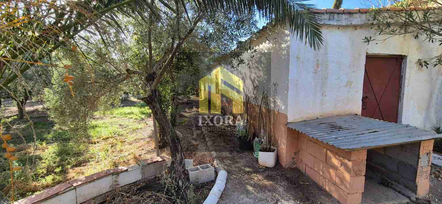 Gran Parcela Rústica con 100 Olivas y Casa a Reformar 86 IMG-20240930-WA0028